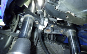 SUZUKI GSX250R 2024