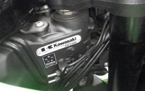 KAWASAKI NINJA 1000 A 2015