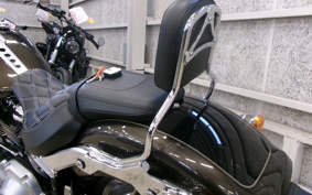 HARLEY FLFBS 2020 YGK