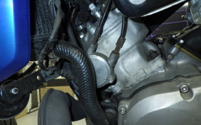 YAMAHA DT200 Gen.2 WR 2024 3XP