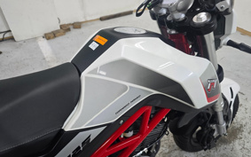 BENELLI TNT125