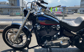 HARLEY FXLR1340 2019 YNJ