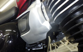 TRIUMPH SPEED TWIN 900 2023