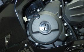 KAWASAKI NINJA 250 EX250P