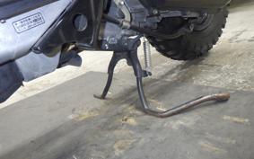 HONDA ZOOMER 2022 AF58