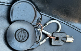 HARLEY FLHT1340-1450 2006 DDV