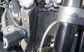 KAWASAKI Z900RS 2021 ZR900C