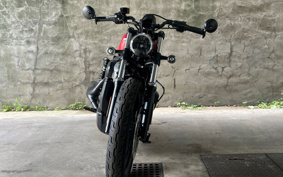HARLEY  HARLEY RH975 NIGHT  STAR  2024 ZH1