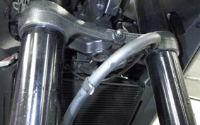 HONDA NX400 2025 NC65