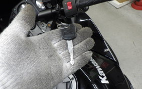 KAWASAKI NINJA 250R 2023 EX250K