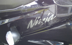 KAWASAKI NINJA 250R EX250K