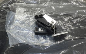 HONDA FORZA 250 2022 MF17