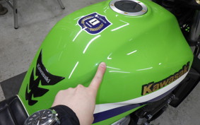 KAWASAKI ZRX1200 D 2016 ZRT20D