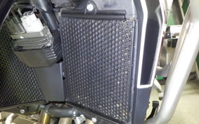 TRIUMPH TIGER 900 GT PRO 2024