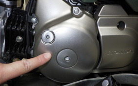 HONDA CT125 HUNTER CUB 2019 JA55