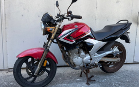 YAMAHA YBR250 PCNL