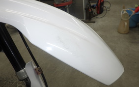 YAMAHA WR250X 2021 DG15J