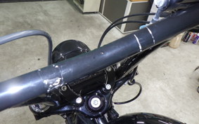 HARLEY XL1200XS 2020