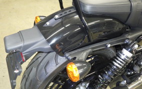 HARLEY XL1200CX 2020