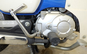 HONDA C110 SUPER CUB JA44