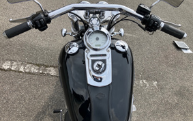 HARLEY HARLEY FXDF1580 2010 GY4