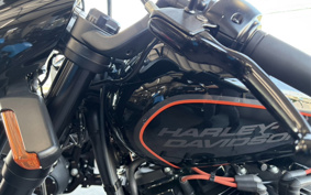HARLEY FXDR114 2019 YVK