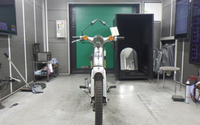 HONDA LITTLE CUB 2019 AA01