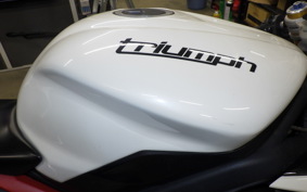 TRIUMPH DAYTONA 675 R