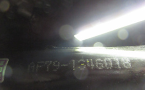 HONDA MANY CTOR AF79