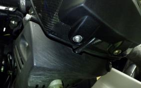 BMW HP2 SPORT 2009