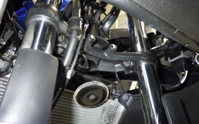 KAWASAKI NINJA 250 ABS EX250L