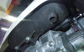HONDA GYRO CANOPY 2023 TA03