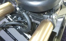 HONDA CB250RA 2007 MC52