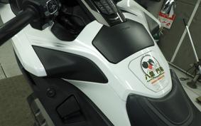 HONDA GL 1800 GOLD WING TOUR DCT 2020 SC79
