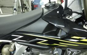 TRIUMPH TF250-X