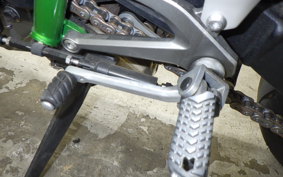 KAWASAKI NINJA H2 ｶｰﾎﾞﾝ 2021 ZXT02J