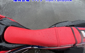 OTHER CRF250 RALLY A