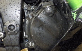 KAWASAKI NINJA 250R 2007 EX250K