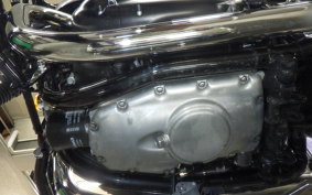 KAWASAKI W800 CAFE 2021