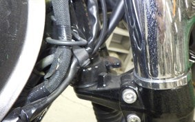 KAWASAKI W800 2024 EJ800E