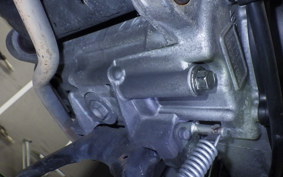 HONDA TACT-4ﾍﾞｰｼｯｸ 2026 AF75