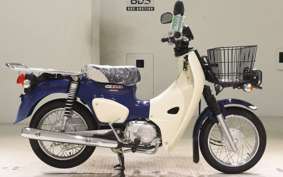HONDA C110 SUPER CUB 2009 JA42
