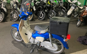 HONDA SUPER CUB50 AA09