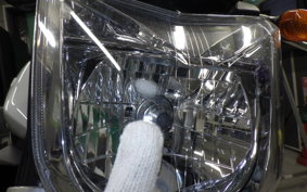 YAMAHA FZ1 FAZER 2009 RN21J