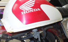 HONDA MONKEY 2007 Z50J