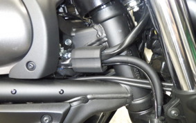 KAWASAKI VULCAN 650 SA 2026 EN650M
