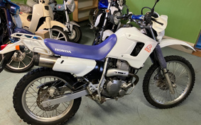 HONDA XL250 DEGREE MD31