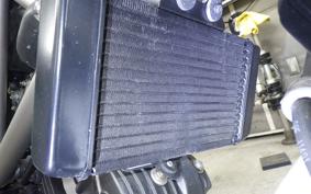 HONDA VTR 250 Gen. 2 2023 MC33
