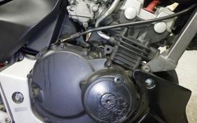 HONDA HORNET 250 2022 MC31