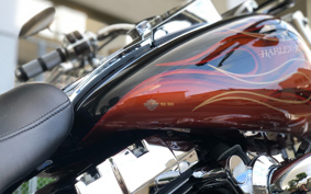 HARLEY FLSTF 2011 BX5